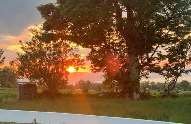 Glebe Barn and Cottage - Photo 29