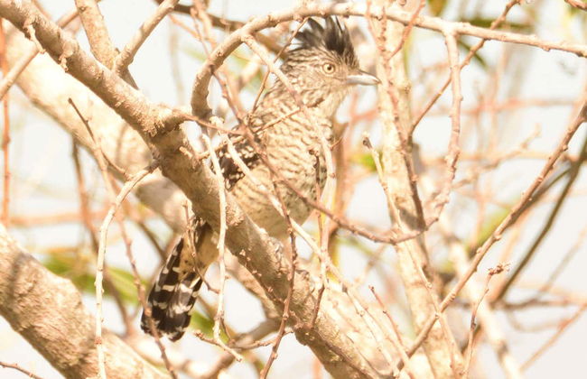 Arroyos y Esteros Private Day Trip - Foto 8