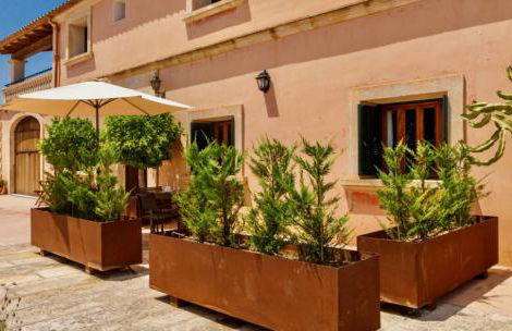 Ayurvila Wellness Retreat - Foto 17