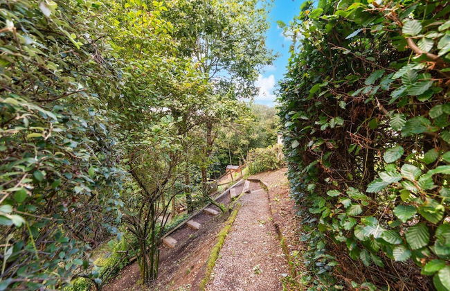 Forest-edge Hideaway, Bouillon - Photo 22