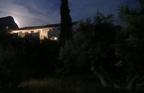 Pandera areopoli - Foto 13