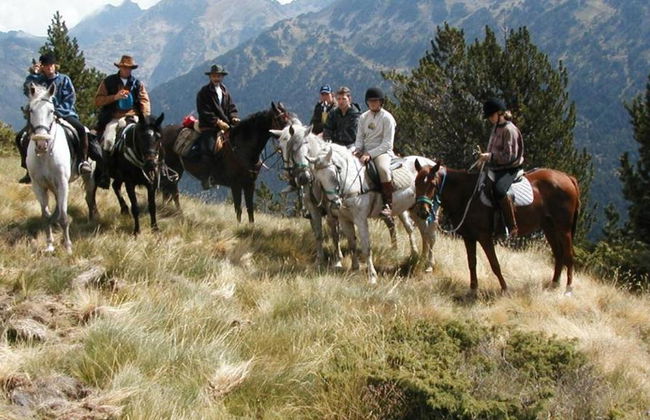 L'Aldosa Riding Club - Foto 3