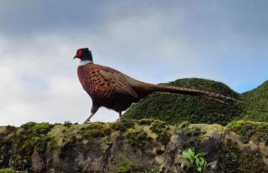 Spacious and bright 1 - bedroom rental unit - Photo 1