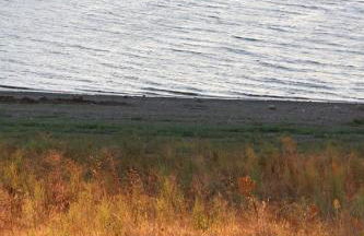 Casa Dos Livres - Foto 29