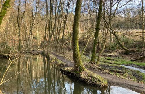Ferienwohnung im Grünen mit Balkon - Foto 43