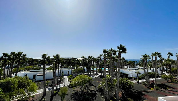 Palmeras Garden - Foto 2