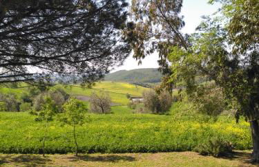 Agriturismo Uliveto Gretacci - Foto 69