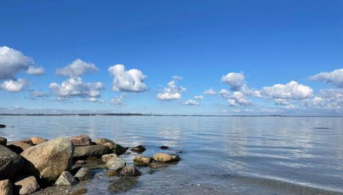 Ferienwohnung Teve - ebenerdig unter Reet & hyggelig mit Kamin - Foto 5