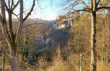 Waldliebe - Wohnung mit großem Balkon und Burgblick - Photo 14