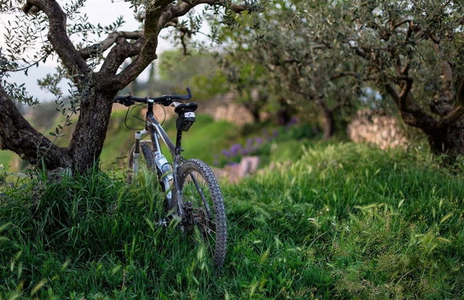 Residence Ca' del Lago - Foto 71