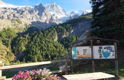 Agréable appartement au calme avec vue montagne, commune de Le Monêtier les Bains - Le Freyssinet - Photo 42
