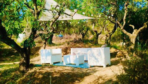 Casa Isabella- Barbecue, Giardino - Foto 4, Garden