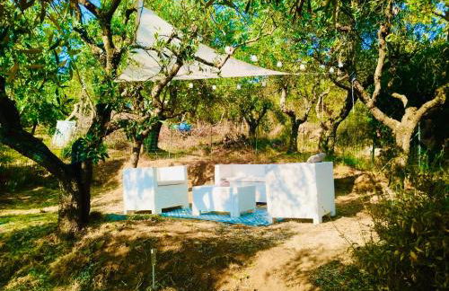 Casa Isabella- Barbecue, Giardino - Foto 4