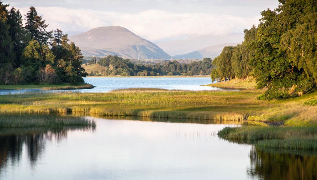 Dunnottar Castle and Royal Deeside - Small Group Tour - Photo 1