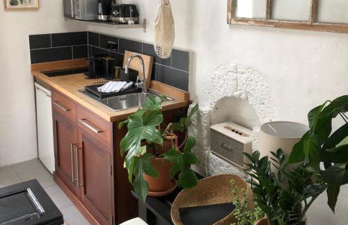 Sala Botanica Studio - Shared Pool - Central Island Location - 10 mins drive to Famara and La Santa - Foto 10