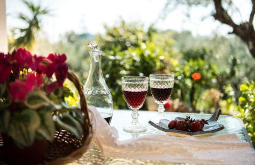 Pura Vida Home - Foto 13