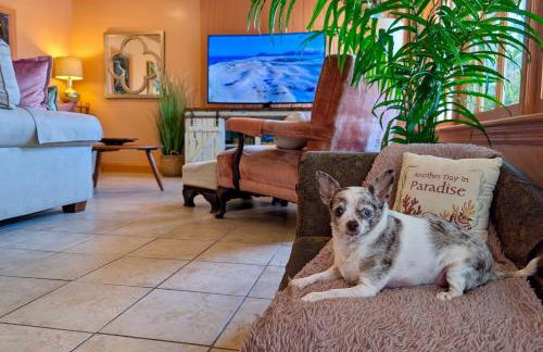 Creekside Paradise - Foto 14