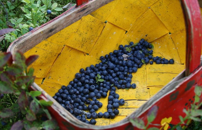 4 Star Holiday Home in Syssleback - Foto 22