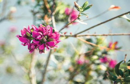 Avrofilito Syros Houses - Foto 62