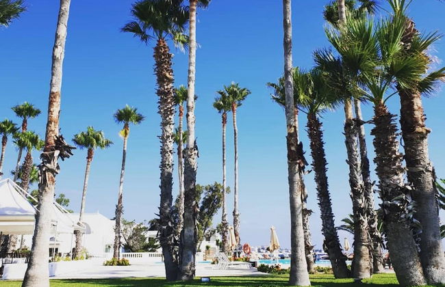 Residence Ain Meriem - Foto 18