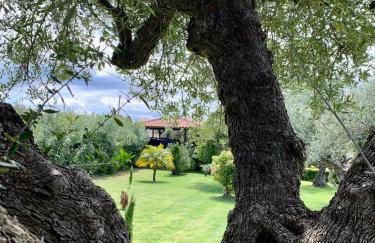 Aggelos and Thisbe Chania Suburbs Sea View Guest House - Foto 37