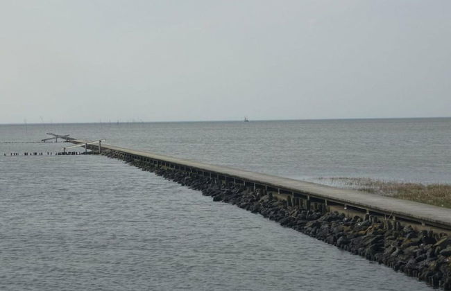 North Sea Holiday House Wellmeyer - Photo 3