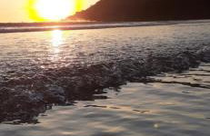 Casa das flores - Foto 29