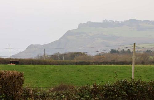 Orchard Cottage - Photo 29