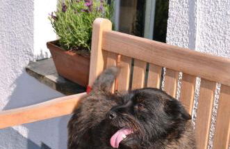 Sea Haze Charlestown - Foto 52