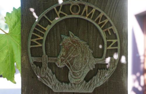 Ferienhaus am Leiselbach - Foto 16