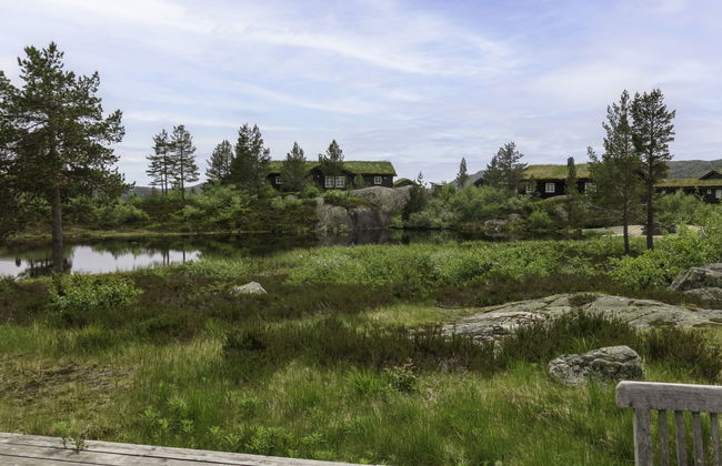 Fjellheimen - Foto 19