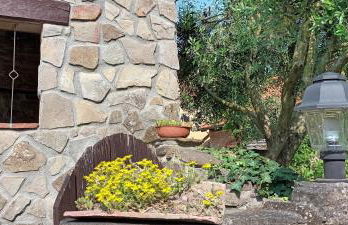 Casa Greta - Ca di Buie - Foto 13