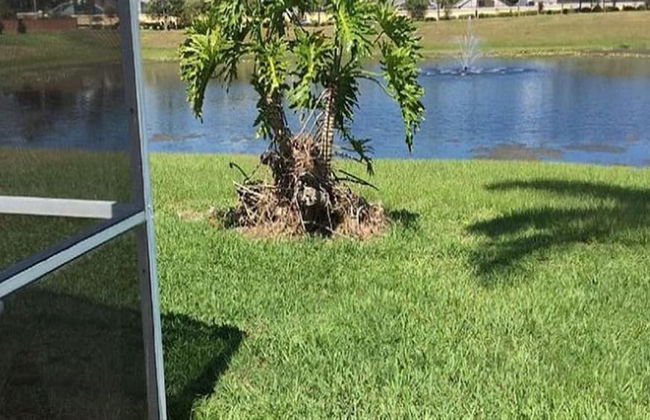 Ly240208 - Rolling Hills Estates - 4 Bed 3 Baths Villa - Photo 17