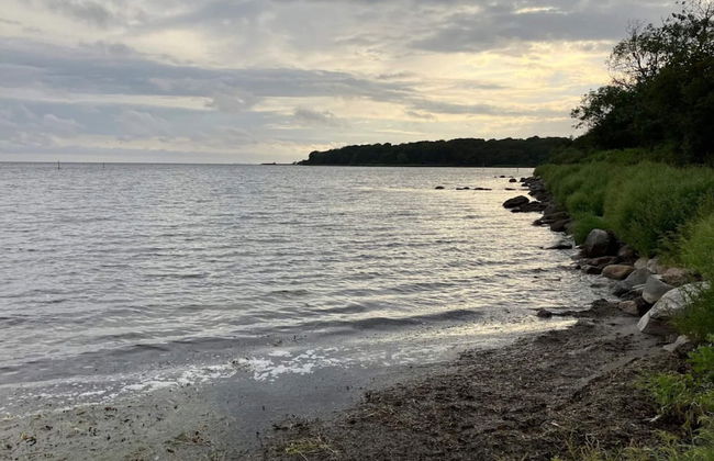 4 Star Holiday Home in Nysted - Foto 37