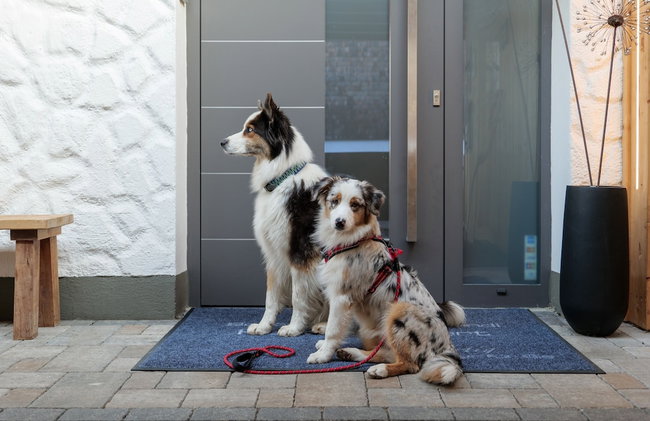 Viktoria Lodges - Foto 28