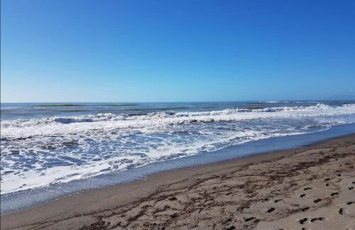 Gaia - Mare, Lago di Bolsena e Terme di Vulci - Foto 44