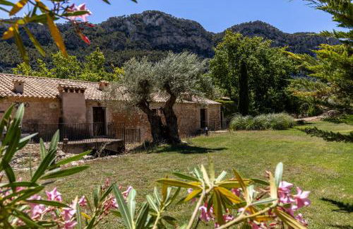 Honor - Rustic villa for 16 people - Foto 6