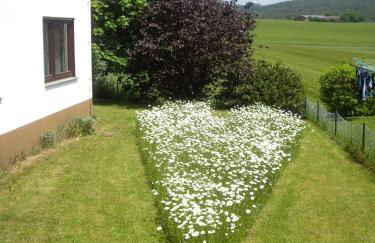 ZEIT für DICH - Foto 34