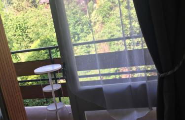 LE PARADISO centre SAINT-GERVAIS - Foto 11