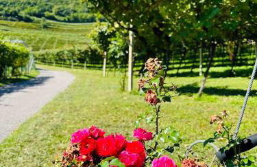 Agritur Gasadòr - Foto 32