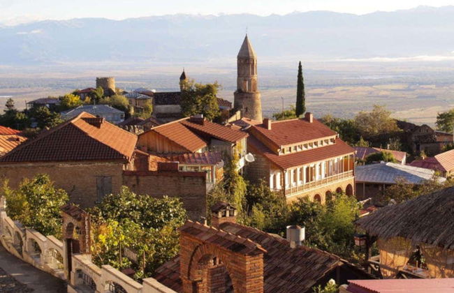 Excursion en Kakhétie avec dégustation de vin - Photo 1
