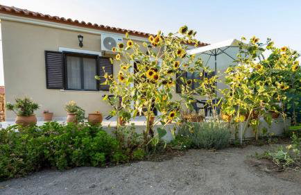 Ambelos, Lesvos Beach House - Foto 37