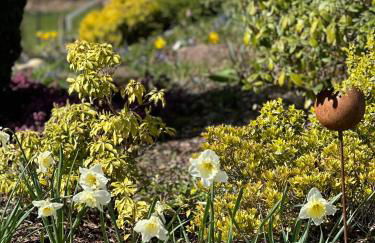 Ferienwohnung Schömberg - Foto 7