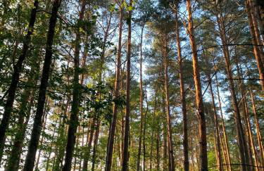 Domaine des Quatre Vents - Foto 77