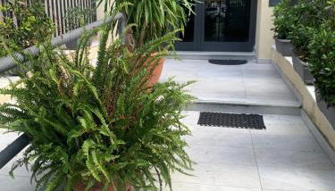 Girasole Marino - Foto 2