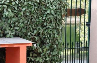 260 lake waterfront holiday apartment with garden - Foto 11