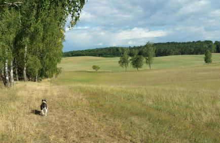 Haus an der Pferdekoppel am Blankenburger See - Photo 34
