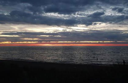 Les MOUSSES - Foto 15