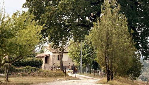 Casale dei 3 galli - Foto 4