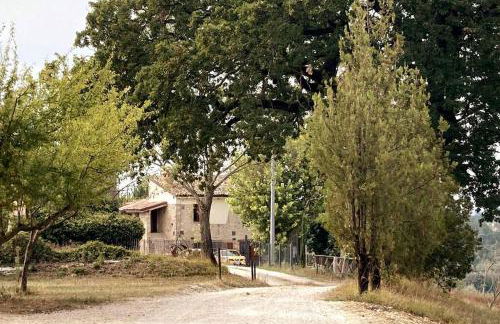 Casale dei 3 galli - Foto 4